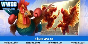 Sảnh WS168 - Chinh Phục Phiên Chọi Gà Hấp Dẫn Nhất 2025